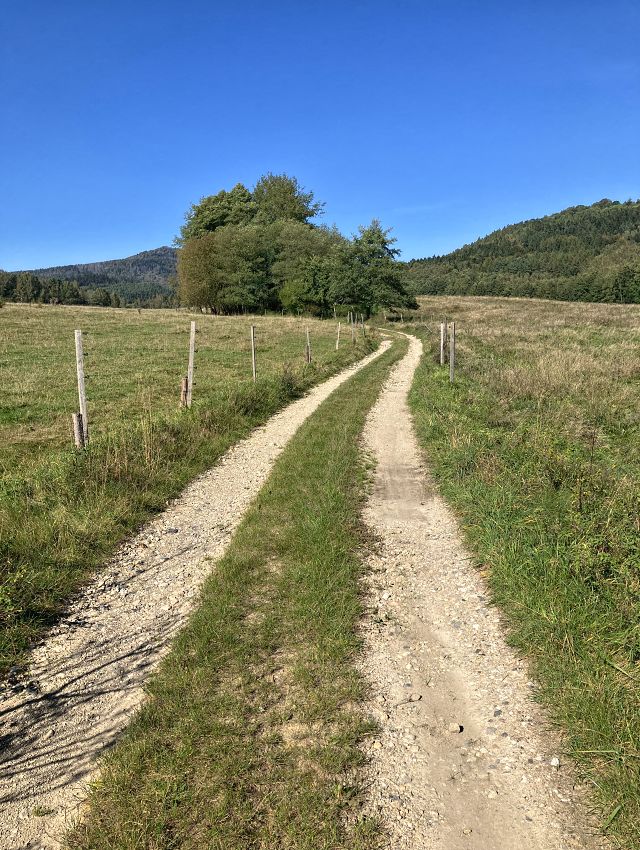 Odboka na modrou znaku