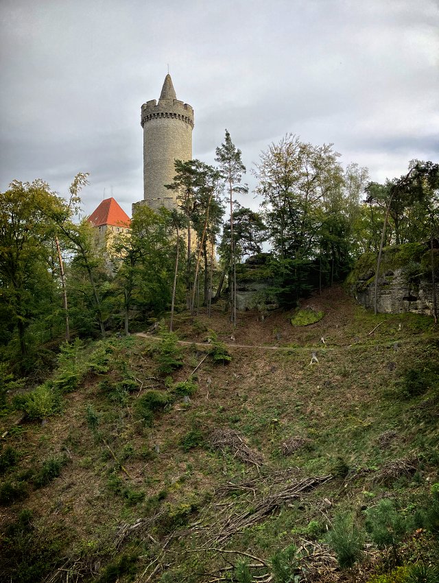 Pohled na vysokou vlcovou v