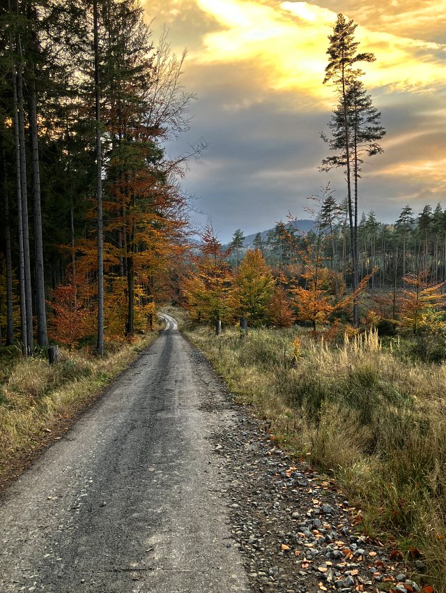 Sjezd do Rousnova